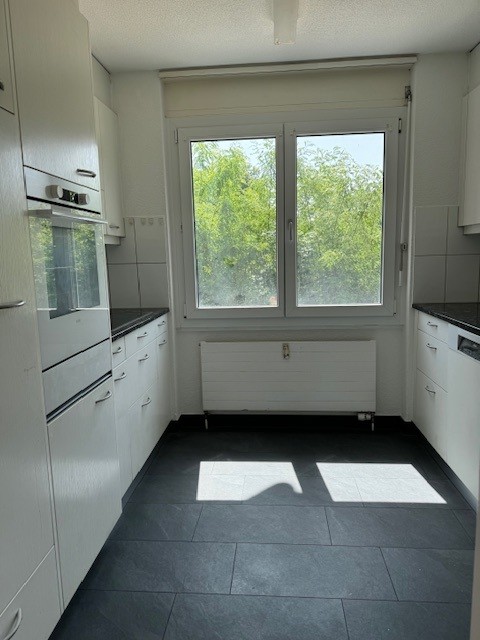 Grosszügige 1 1/2-Zimmerwohnung Nähe Bahnhof mit Garten 9