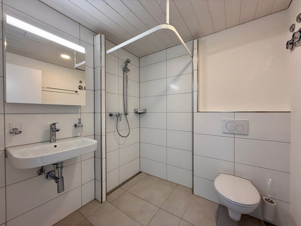 Exklusive Attika Loftwohnung mit Panoramablick 3