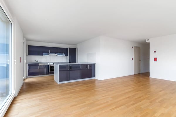 4.5 Zimmer Attika-Wohnung mit Panoramablick 4