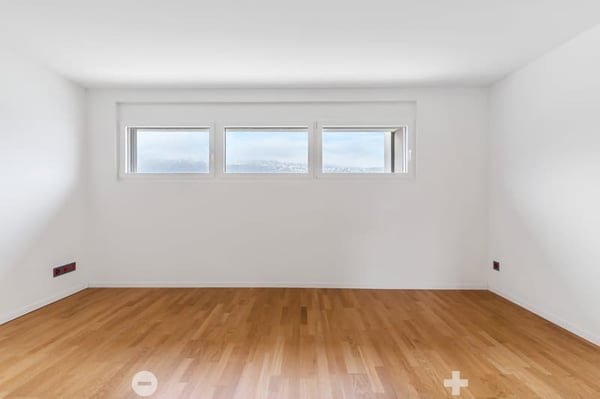 4.5 Zimmer Attika-Wohnung mit Panoramablick 5
