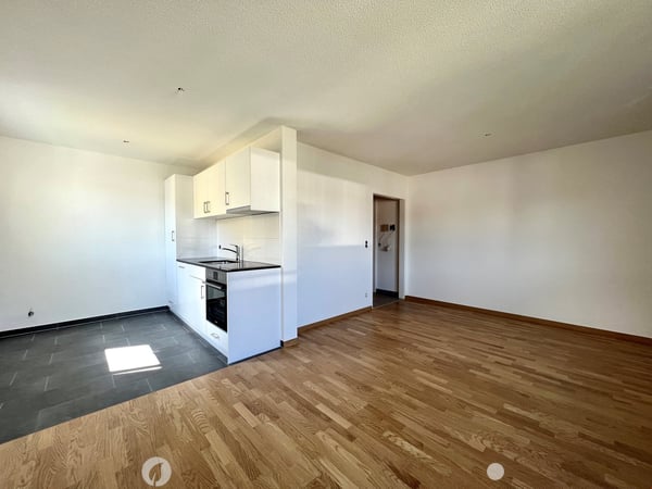 Komplett sanierte 2 2/2-Zwg offene Küche und Balkon 1