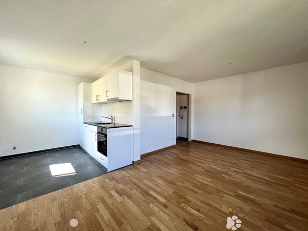 Komplett sanierte 1 1/2-Zwg offene Küche und Balkon 1