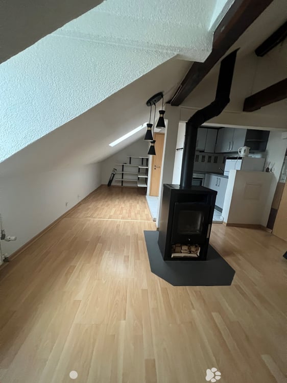 1-Zimmerwohnung im Dachgeschoss 4