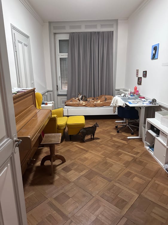 Stillvolle 3.5-Zimmer-Altbauwohnung im Herzen von Biel - direkt bei der Einkaufsmeile 10