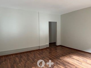 Grosser Loft von 50m2 5