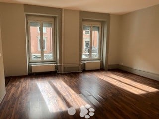 Grosser Loft von 50m2 3