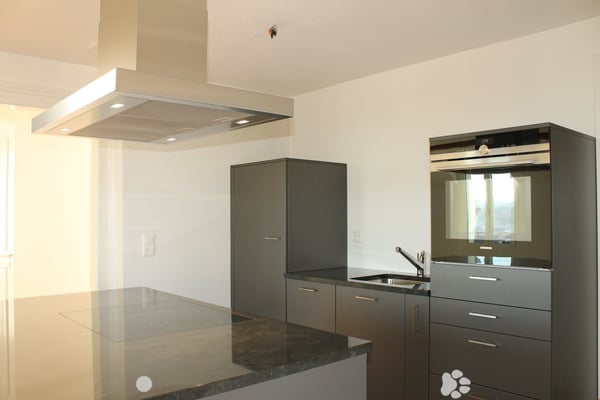 ALPENPANORAMA inklusive - top renovierte 2.5-Zimmerwohnung mit Galerie 1
