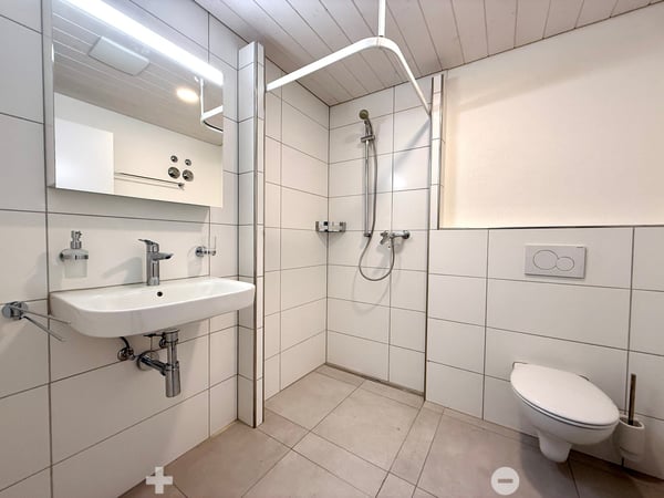Exklusive Attika Loftwohnung mit Panoramablick 5