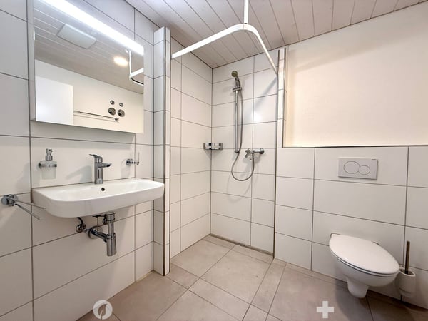 Exklusive Attika Loftwohnung mit Panoramablick 5