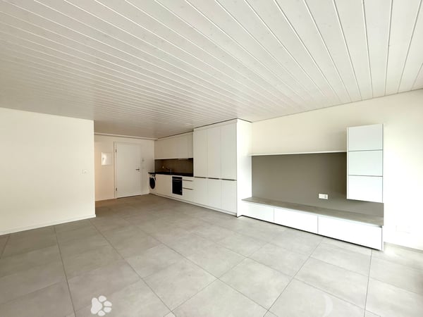 Exklusive Attika Loftwohnung mit Panoramablick 4