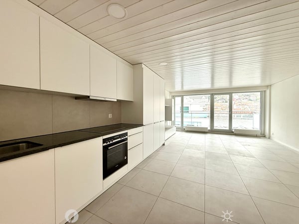Exklusive Attika Loftwohnung mit Panoramablick 3