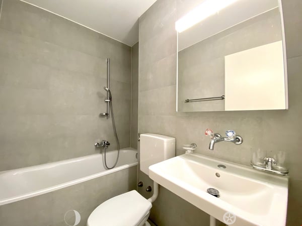 TOP-sanierte 3 1/2-Zwg mit Balkon im Mühlefeldquartier 4