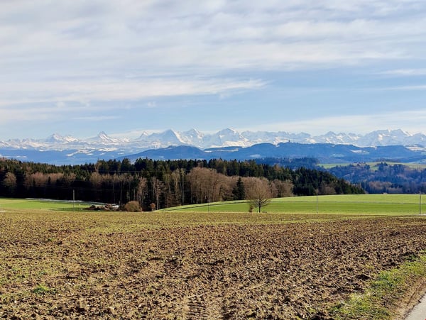 15min von Bern mit traumhafter Aussicht auf Alpen in Mitten der Natur, 12