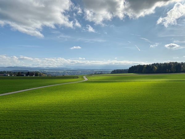 15min von Bern mit traumhafter Aussicht auf Alpen in Mitten der Natur,
