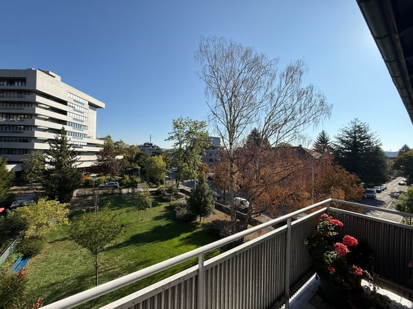 Renovierte 4 1/2-Zwg mit Balkon 2