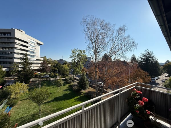Renovierte 3 1/2-Zwg mit Balkon 2