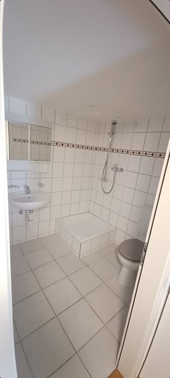 3-Zimmerwohnungen im Dachgeschoss 4