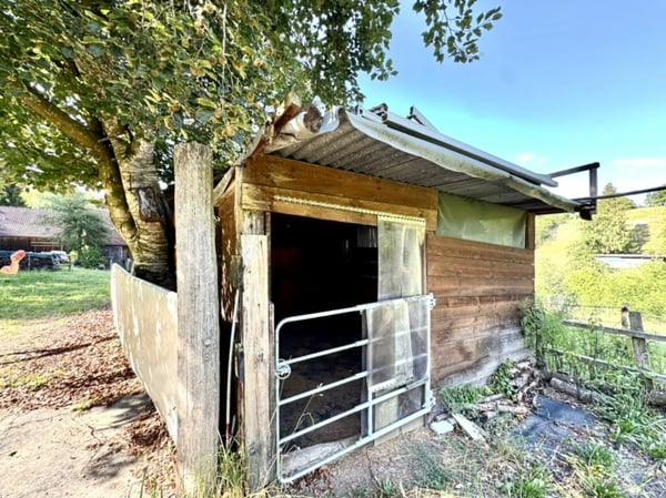 Grosses freistehendes 7.5-Zimmer-Bauernhaus für Pferdeliebhaber oder Kleintierhalter! Pferdeboxen, Remise, Wald und Wiesen .... 43