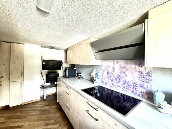 Grosses freistehendes 7.5-Zimmer-Bauernhaus für Pferdeliebhaber oder Kleintierhalter! Pferdeboxen, Remise, Wald und Wiesen .... 5