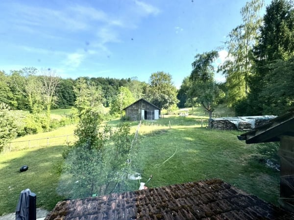 Grosses freistehendes 7.5-Zimmer-Bauernhaus für Pferdeliebhaber oder Kleintierhalter! Pferdeboxen, Remise, Wald und Wiesen .... 45