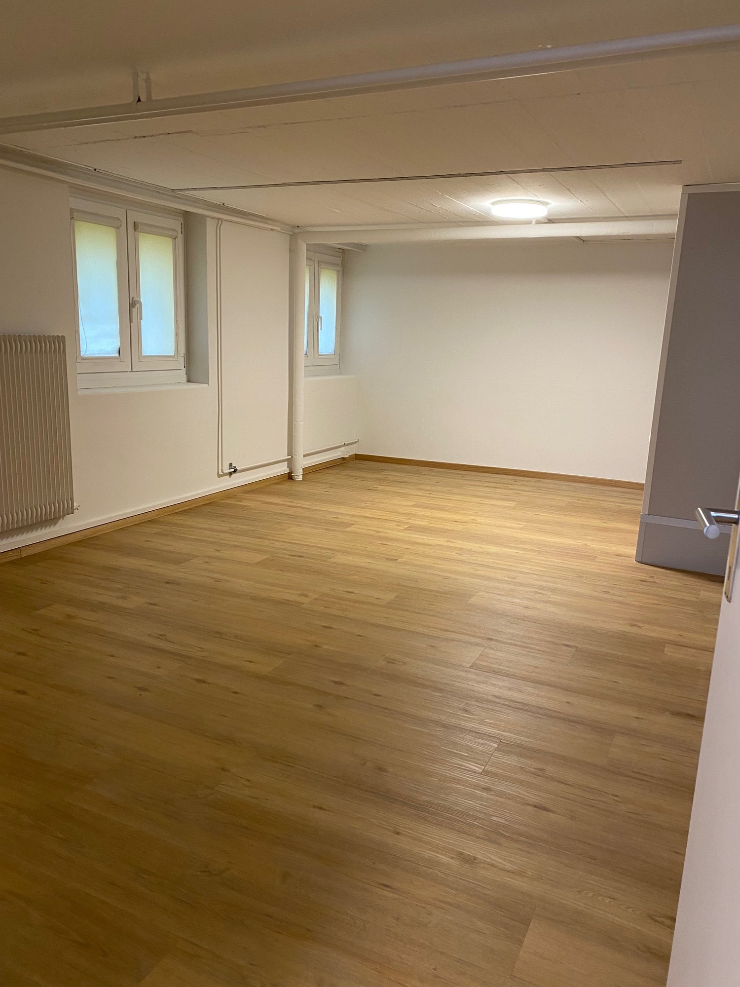 empty room, wooden floor, white walls, two windows, ceiling light, radiator