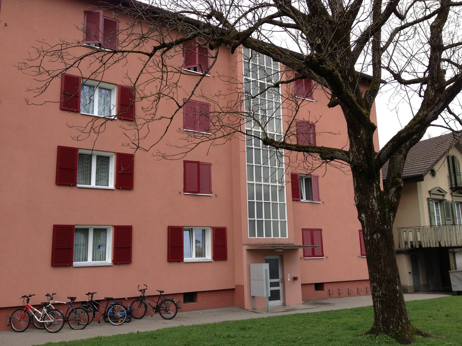 A pink building with multiple windows and red shutters, a tree in front, and bicycles parked outside.