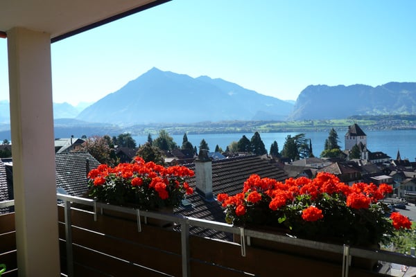 Charmante 4.5-Zimmer-Wohnung mit Seesicht in Oberhofen am Thunersee 1