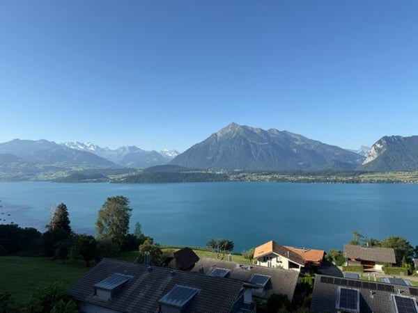 Traumaussicht auf den Thunersee: Grosszügige 2.5-Zimmer-Erdgeschosswohnung in Oberhofen 4