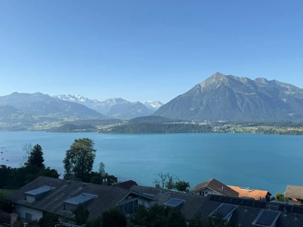 Traumaussicht auf den Thunersee: Grosszügige 2.5-Zimmer-Erdgeschosswohnung in Oberhofen 2