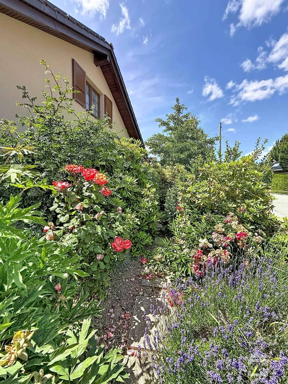 Grande maison individuelle dans son écrin de verdure 13