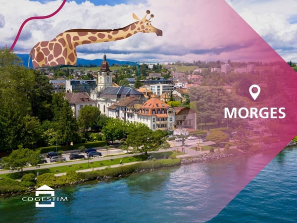 Projet de deux villas jumelles à deux pas du Léman VILLA B 8