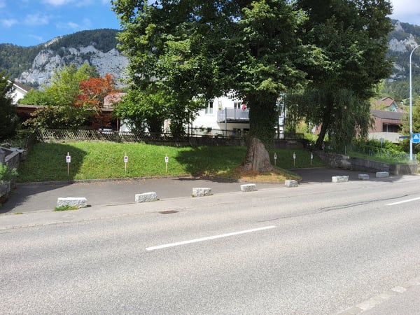 2.5-Zimmer Wohnhaus mit Restaurant und Baulandreserve 4