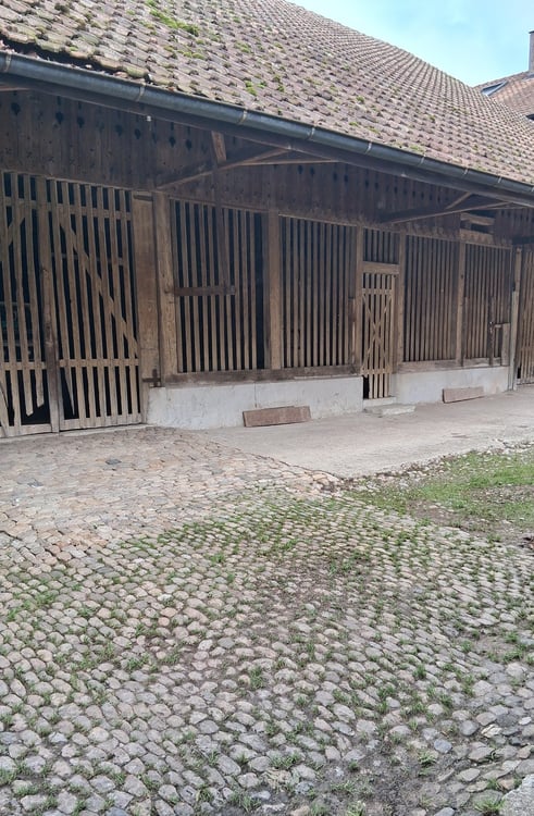 Projekt mit viel Raum & Natur zentral im Dorfkern 3