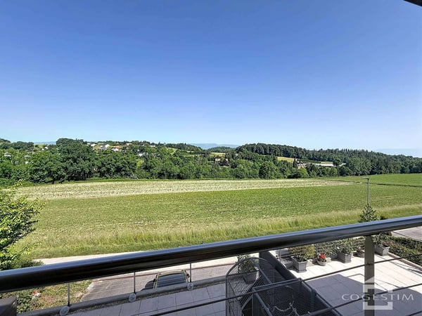 Villa mitoyenne contemporaine de 6.5 pièces 4
