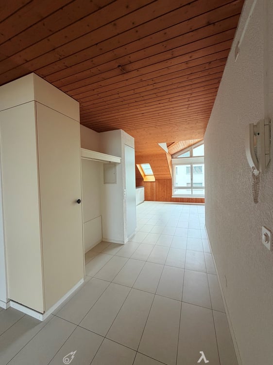 Grosszügige Dachwohnung / Appartement sous les toits 4