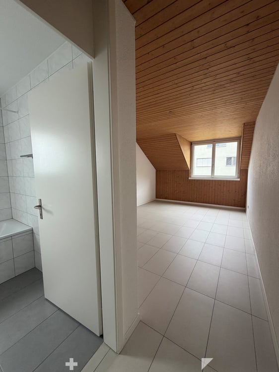 Grosszügige Dachwohnung / Appartement sous les toits 7