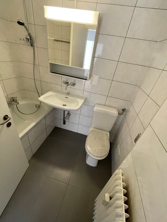 Renovierte 3-Zimmerwohnung mit 2 Balkonen 2