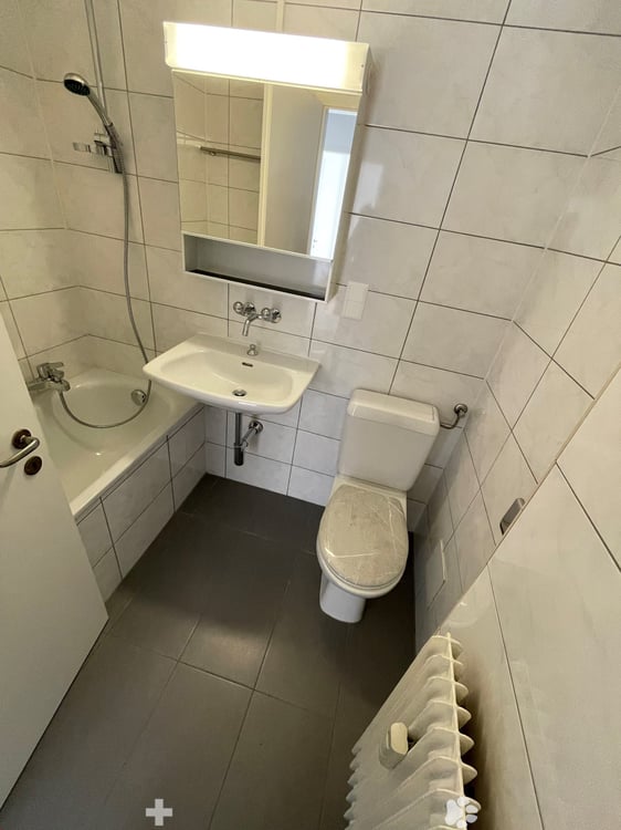 Renovierte 3-Zimmerwohnung mit 2 Balkonen 2