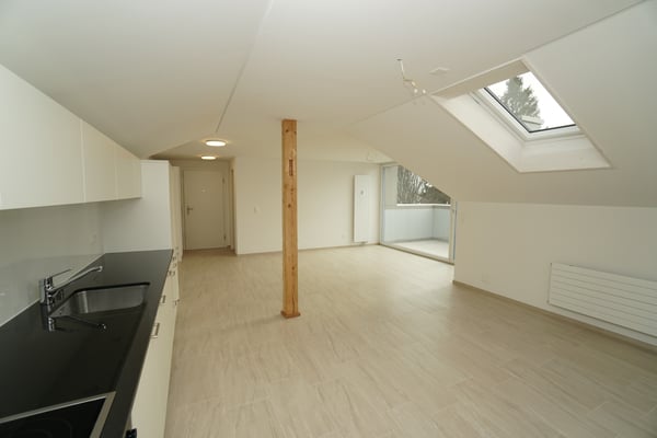 2.5-Zimmer-Dachwohnungen 4