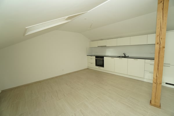 2.5-Zimmer-Dachwohnungen 2