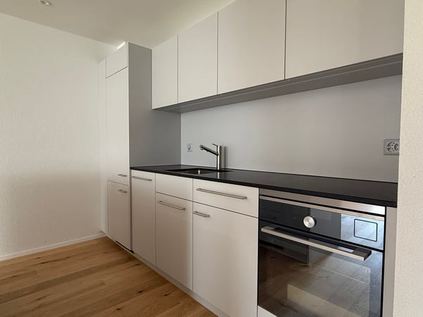 Loftwohnung im Herzen von Thun 2