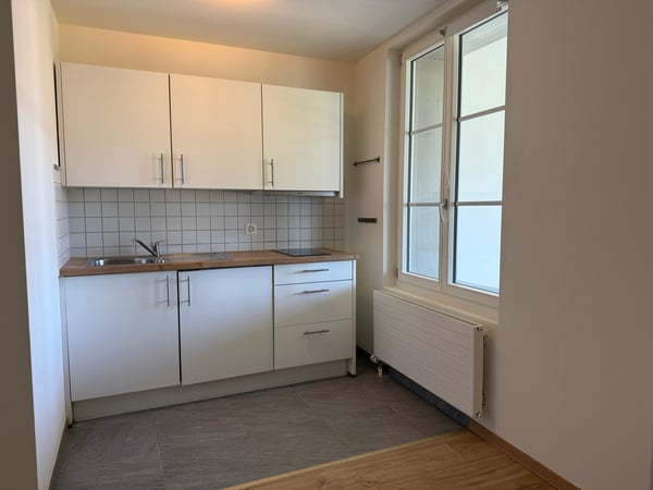 Wohnung mit Bergpanorama 2