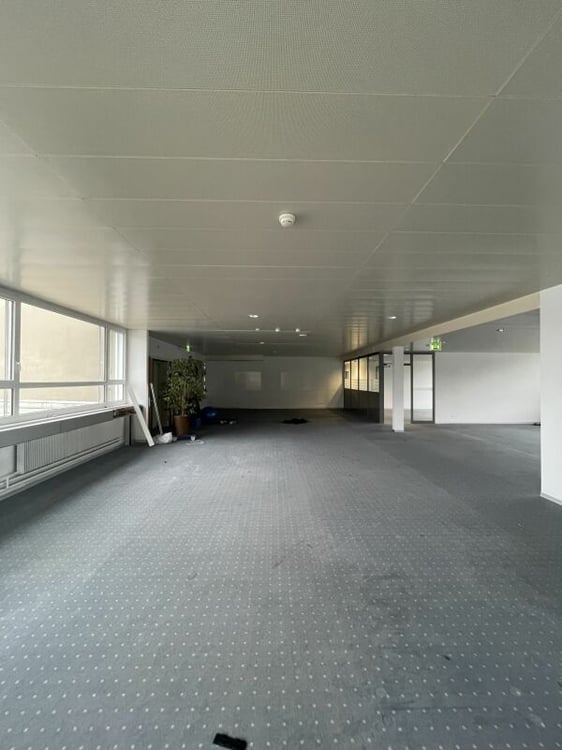 Büro- und Gewerbefläche zu vermieten 17