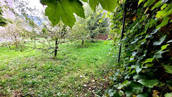 Gartenhaus * Hobbyraum * Bastelraum * (nur ruhige Tätigkeiten erlaubt) 4