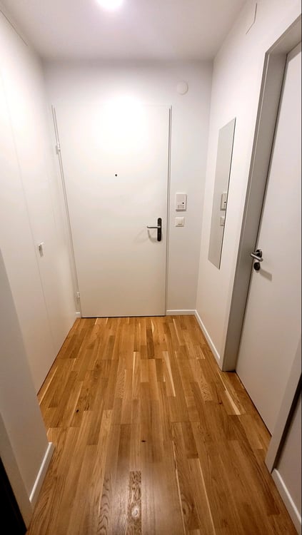 Möblierte 1.5 Zimmer Wohnung zu vermieten 4