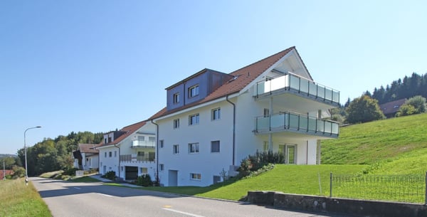 Schöne 4.5-Zi-Dachwohnung