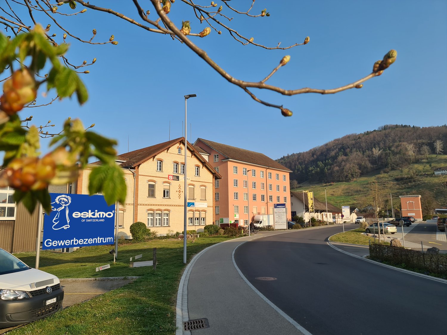 commercial building, large windows, brown roof, blue sign, grassy area, street light, parked car, mountains in the distance