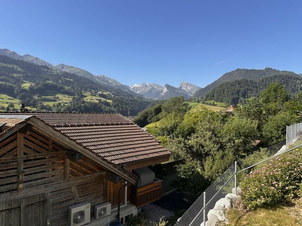 5½-Zimmer-Einfamilienhaus mit Top Ausbau an wunderbar Lage 10