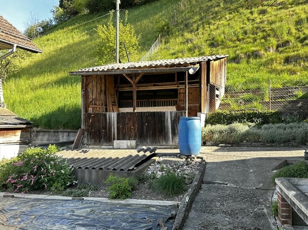5-Zimmer-Einfamilienhaus mit Potenzial für mehr 14