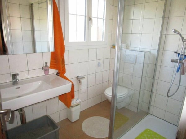 3-Familienhaus mit ehem. Ökonomieteil/Schopf bzw. viel Potenzial 9